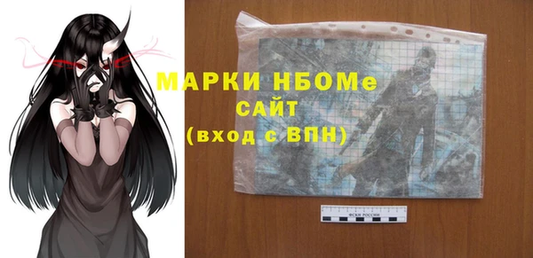 индика Михайлов