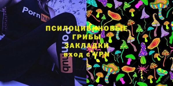 MDMA Медвежьегорск