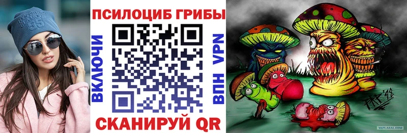 Галлюциногенные грибы прущие грибы  Купить  Ртищево 